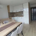 Apartmaji Sopotnik *