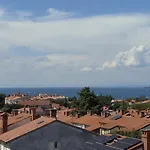 Apartmaji Sopotnik * 이졸라