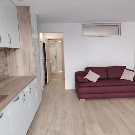 Apartmaji Sopotnik *