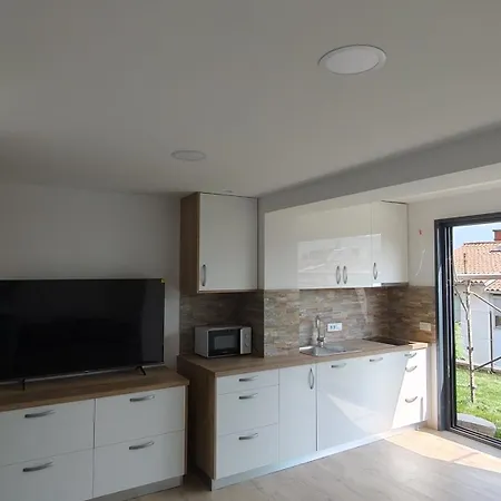 Apartmaji Sopotnik *