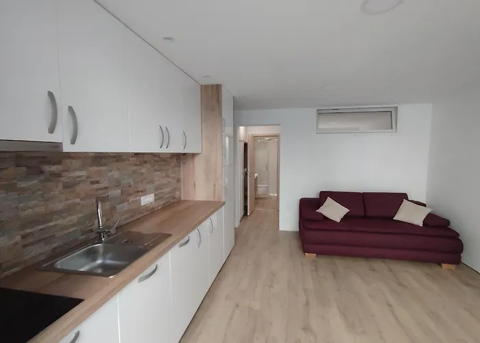 Apartmaji Sopotnik *