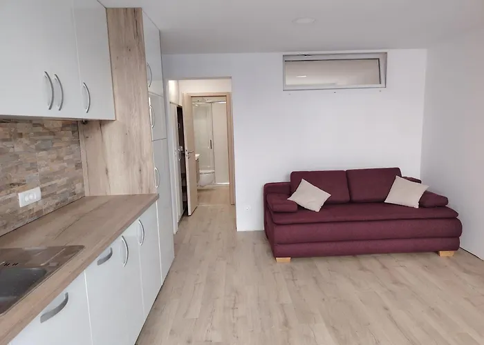 Apartmaji Sopotnik *